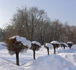 Тульские фотоистории. Борис Тасов: О Южной столице, снежной зиме и о двух неделях в Бельгии.