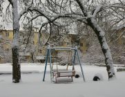 Тульские фотоистории. Борис Тасов: Женский праздник со снежинкой на глазах